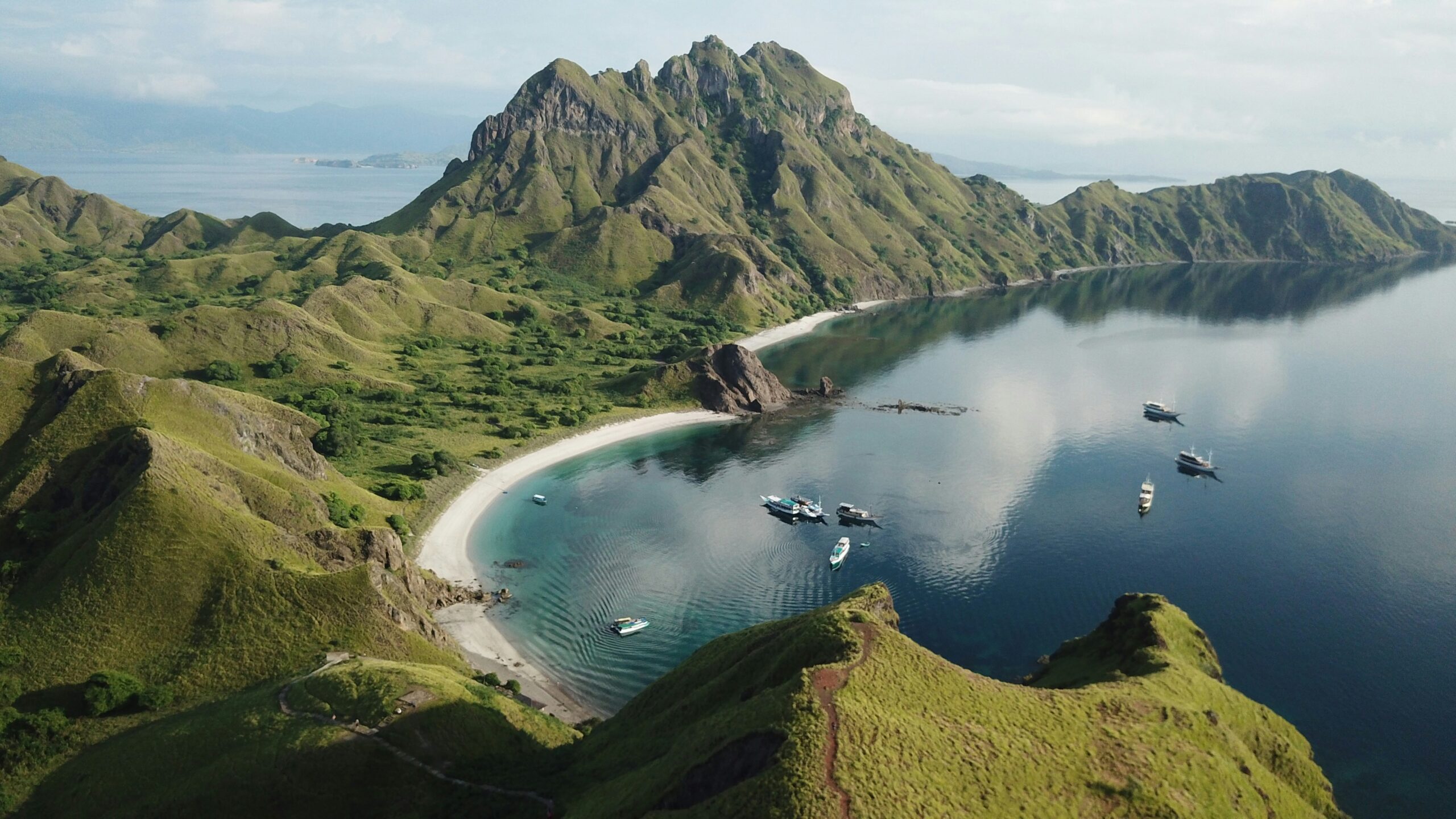Photo by dwi damarnesia on Unsplash