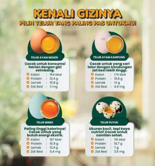 Kandungan telur